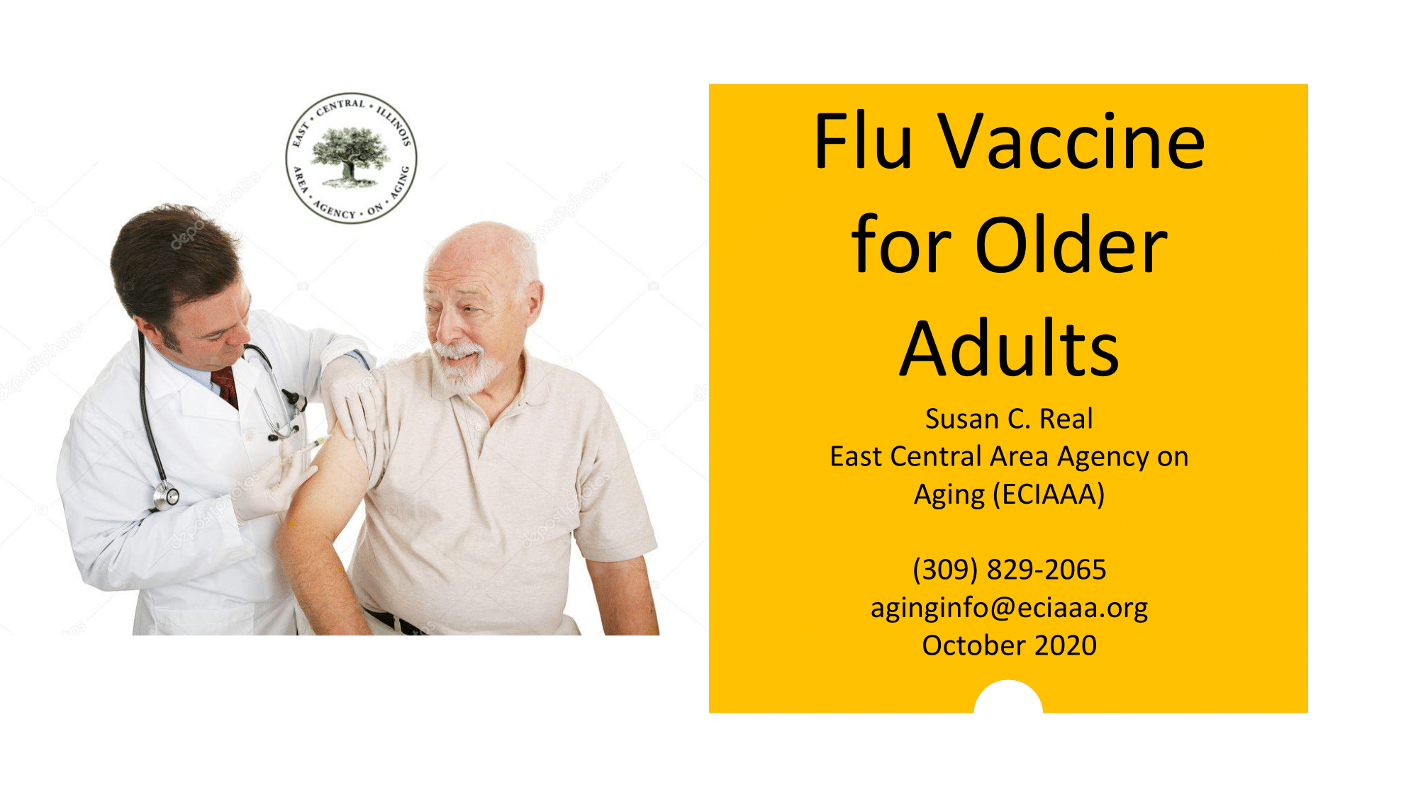 Flu Vaccine Presentation V3 01